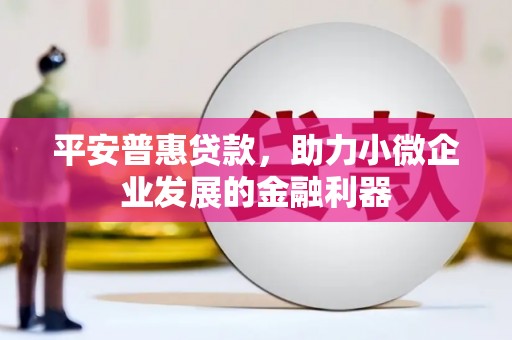 玛家平安普惠贷款，助力小微企业发展的金融利器