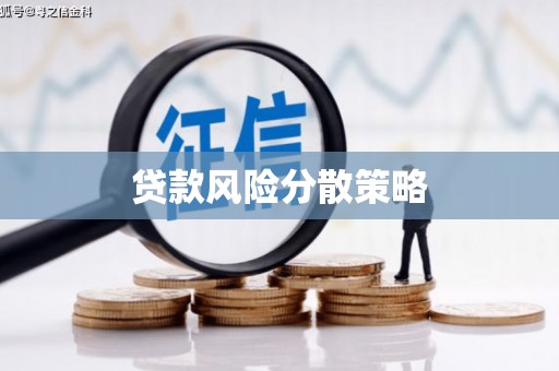 玛家贷款风险分散策略
