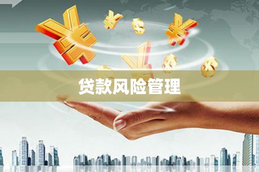 玛家贷款风险管理