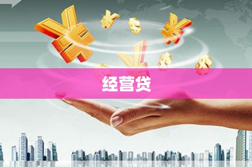 玛家经营贷
