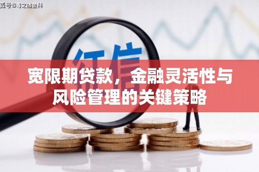 玛家宽限期贷款，金融灵活性与风险管理的关键策略
