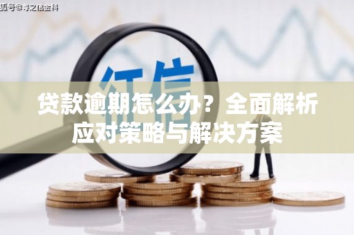 玛家贷款逾期怎么办？全面解析应对策略与解决方案
