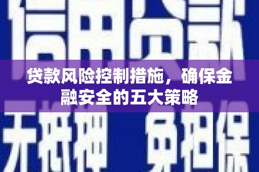 玛家贷款风险控制措施，确保金融安全的五大策略