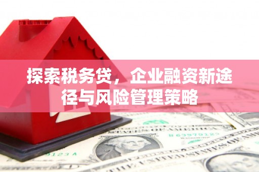 玛家探索税务贷，企业融资新途径与风险管理策略