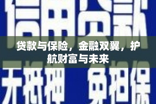 玛家贷款与保险，金融双翼，护航财富与未来