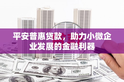 玛家平安普惠贷款，助力小微企业发展的金融利器