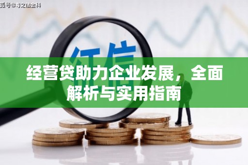 玛家经营贷助力企业发展，全面解析与实用指南