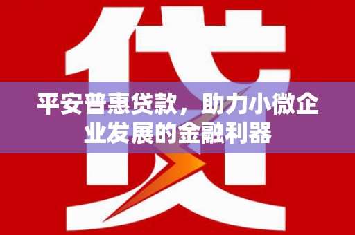 玛家平安普惠贷款，助力小微企业发展的金融利器