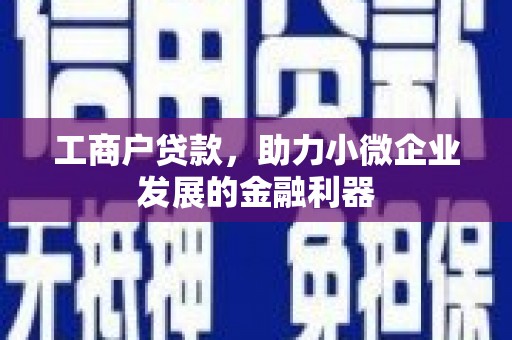 玛家工商户贷款，助力小微企业发展的金融利器