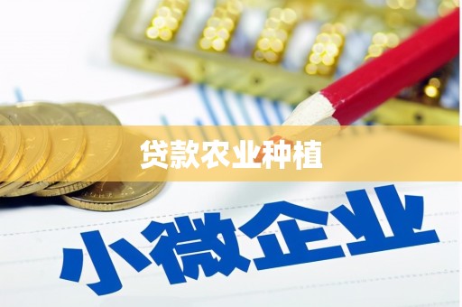 玛家贷款农业种植