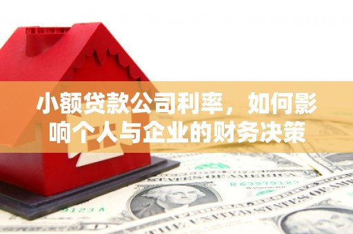 玛家小额贷款公司利率，如何影响个人与企业的财务决策