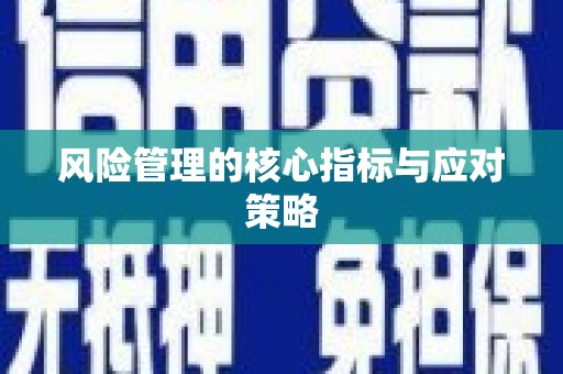 玛家风险管理的核心指标与应对策略