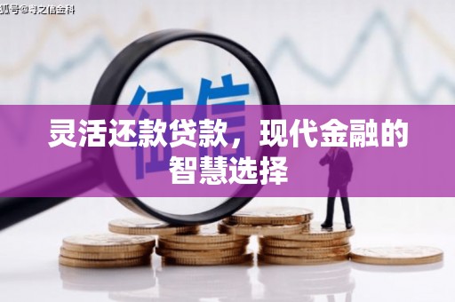 玛家灵活还款贷款，现代金融的智慧选择