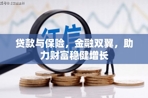玛家贷款与保险，金融双翼，助力财富稳健增长