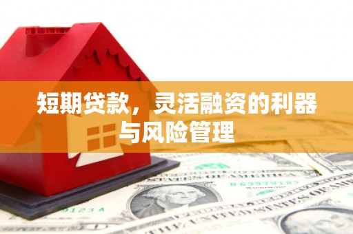 玛家短期贷款，灵活融资的利器与风险管理