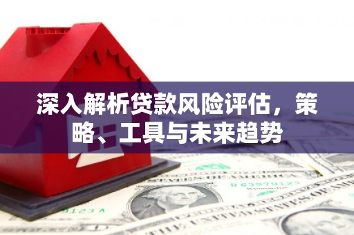 玛家深入解析贷款风险评估，策略、工具与未来趋势