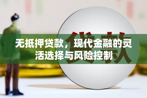 玛家无抵押贷款，现代金融的灵活选择与风险控制