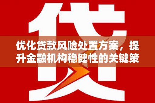 玛家优化贷款风险处置方案，提升金融机构稳健性的关键策略