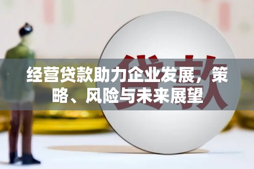 玛家经营贷款助力企业发展，策略、风险与未来展望