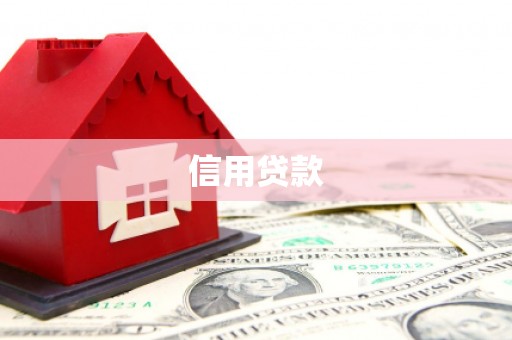 玛家信用贷款