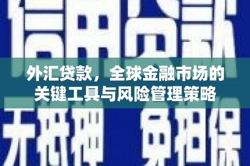 玛家外汇贷款，全球金融市场的关键工具与风险管理策略