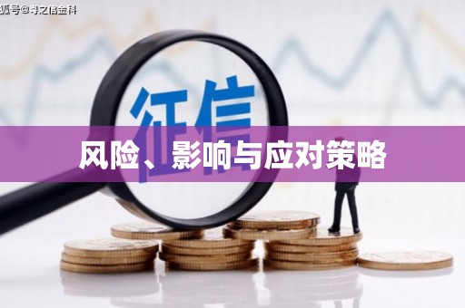 玛家风险、影响与应对策略