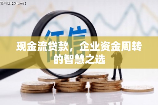 玛家现金流贷款，企业资金周转的智慧之选
