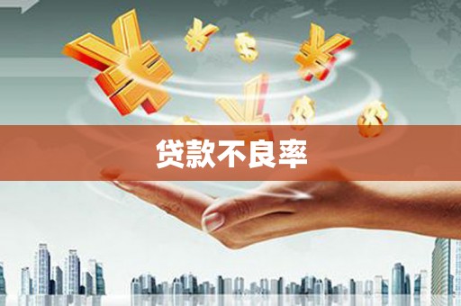 玛家贷款不良率