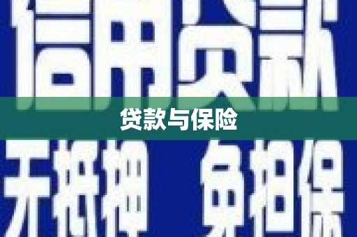 玛家贷款与保险