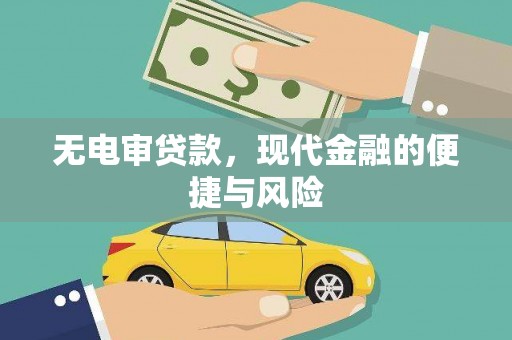 玛家无电审贷款，现代金融的便捷与风险