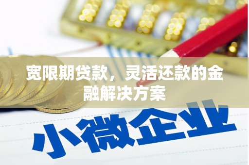 玛家宽限期贷款，灵活还款的金融解决方案