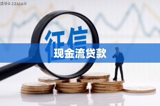 玛家现金流贷款
