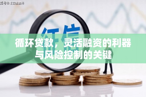 玛家循环贷款，灵活融资的利器与风险控制的关键