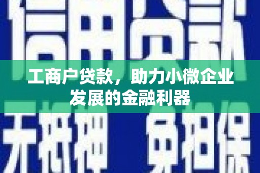 玛家工商户贷款，助力小微企业发展的金融利器