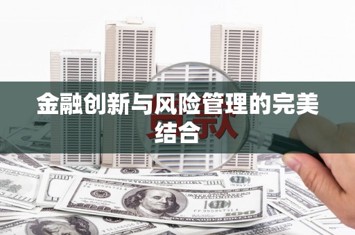玛家金融创新与风险管理的完美结合