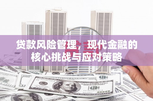 玛家贷款风险管理，现代金融的核心挑战与应对策略
