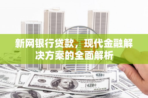 玛家新网银行贷款，现代金融解决方案的全面解析