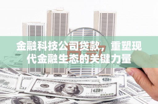 玛家金融科技公司贷款，重塑现代金融生态的关键力量