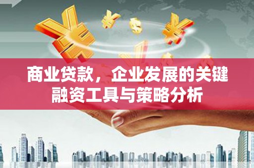 玛家商业贷款，企业发展的关键融资工具与策略分析
