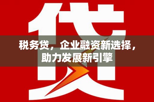 玛家税务贷，企业融资新选择，助力发展新引擎