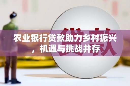 玛家农业银行贷款助力乡村振兴，机遇与挑战并存
