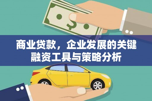 玛家商业贷款，企业发展的关键融资工具与策略分析