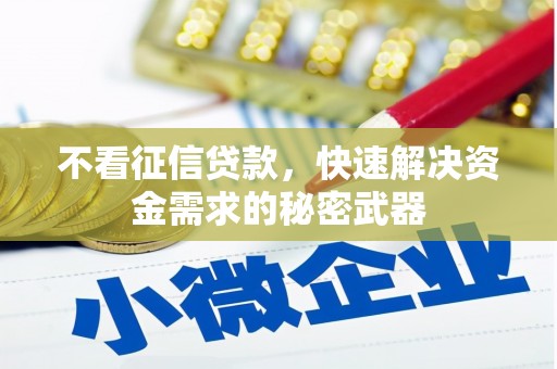玛家不看征信贷款，快速解决资金需求的秘密武器