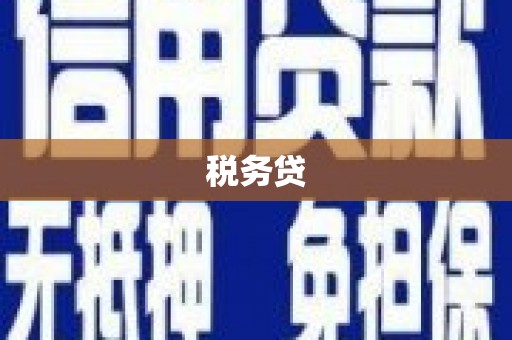 玛家税务贷