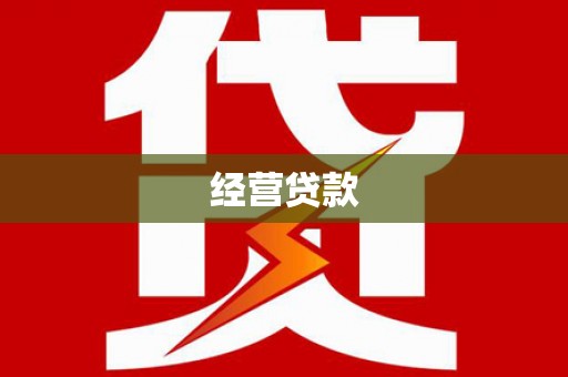 玛家经营贷款