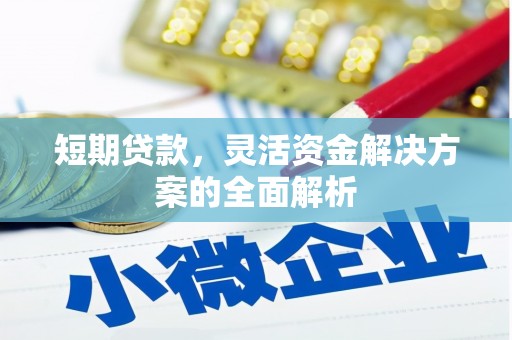 玛家短期贷款，灵活资金解决方案的全面解析
