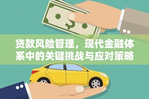 玛家贷款风险管理，现代金融体系中的关键挑战与应对策略
