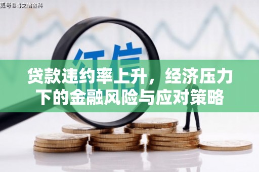 玛家贷款违约率上升，经济压力下的金融风险与应对策略