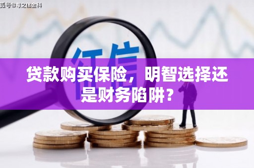 玛家贷款购买保险，明智选择还是财务陷阱？
