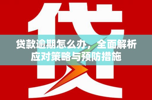 玛家贷款逾期怎么办，全面解析应对策略与预防措施